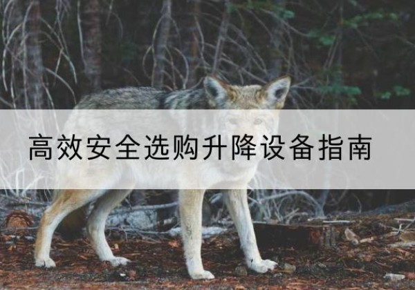 调兵山升降货梯厂家推荐-*安全选购升降设备指南