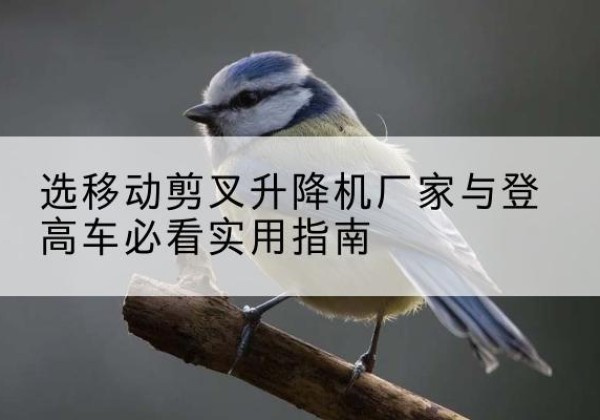 调兵山电动升降机厂家-选移动剪叉升降机厂家与登高车必看实用指南